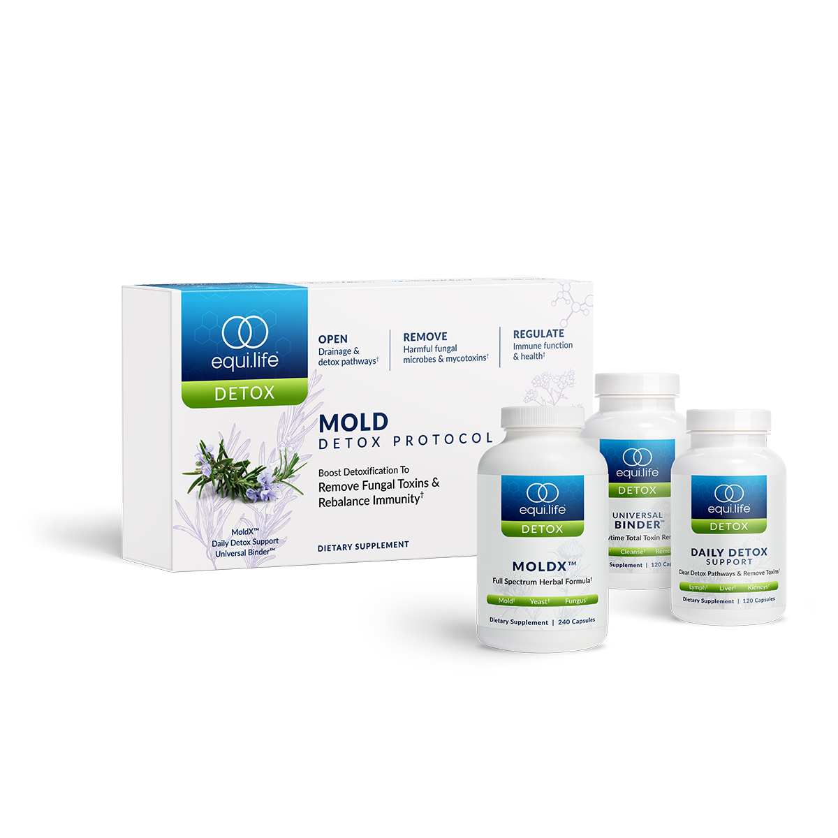Mold Protocol